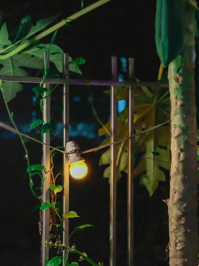 נין בין Tam Coc Sunrise Homestay מראה חיצוני תמונה